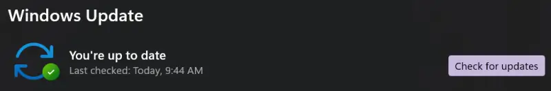 A screenshot showing the button to check for updates on Windows 11.