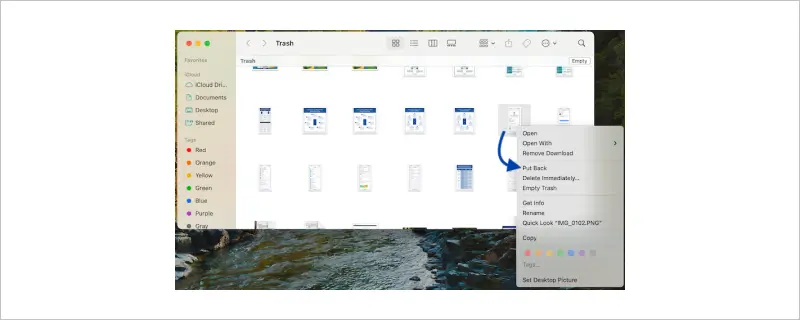 Recover files from trash bin