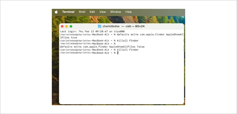 Show hidden files in Terminal