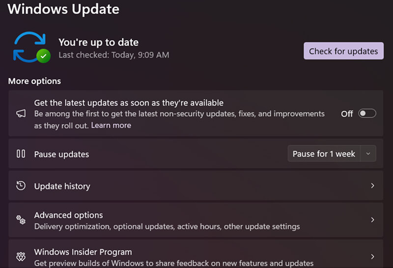 A screenshot showing the screen to check for Windows Updates.
